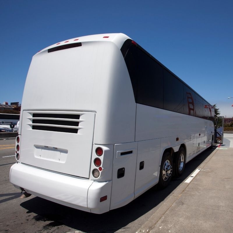 OKO Truck & Bus - Image 2