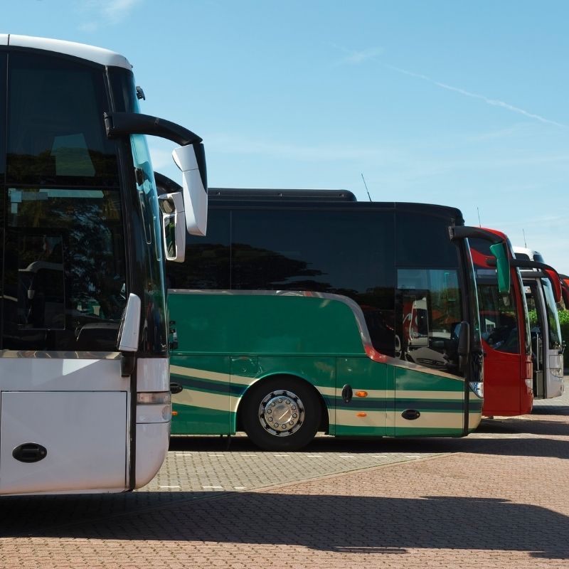 OKO Truck & Bus - Image 3