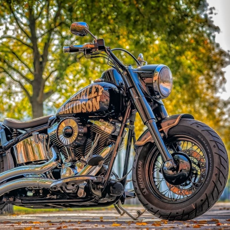 gallery-on-road-motorcycle-02 Harley Davidson cruiser